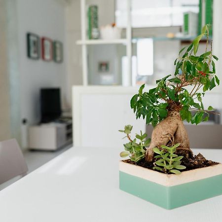Ariadimare Молфета Екстериор снимка